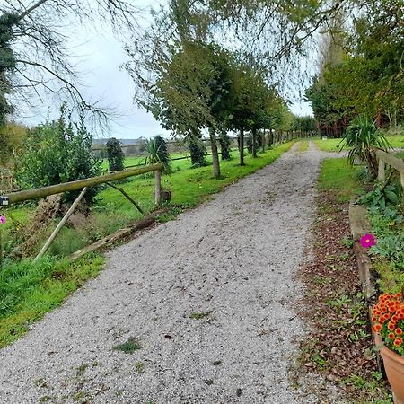 Gite Le Clos Du Mithode Hesdin-lʼAbbé エクステリア 写真